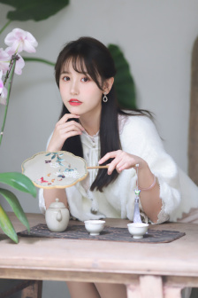 不可能完成的任务 电视剧